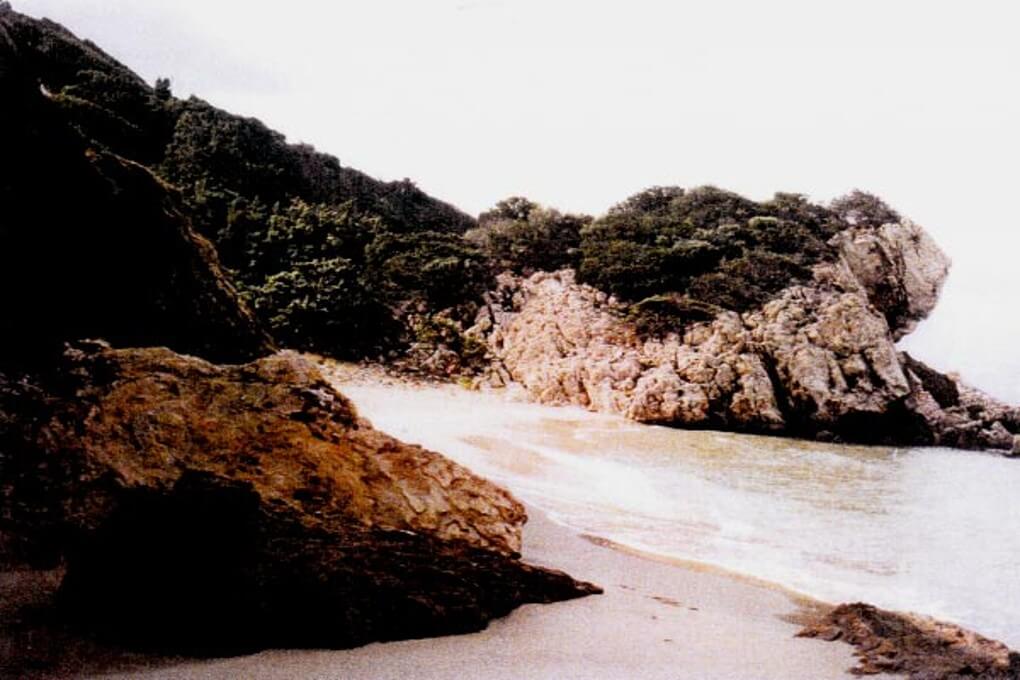 Vast Seafront Land in Samos, Greece for sale. ID GrAe3-101