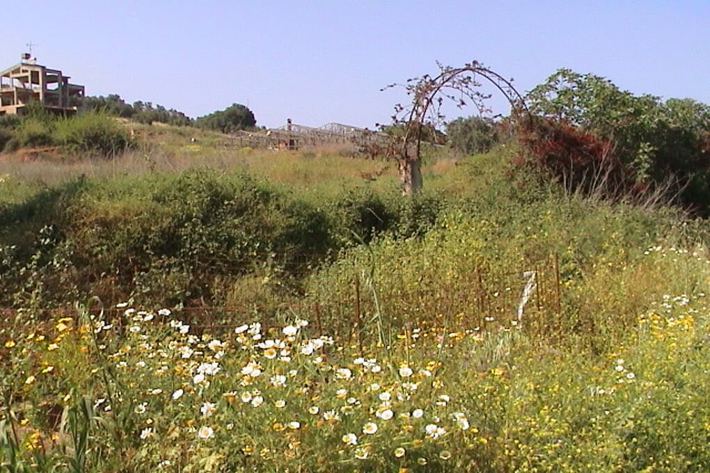 Plot with lots of development potential in Spilia - Kolimbari. ID 03-913