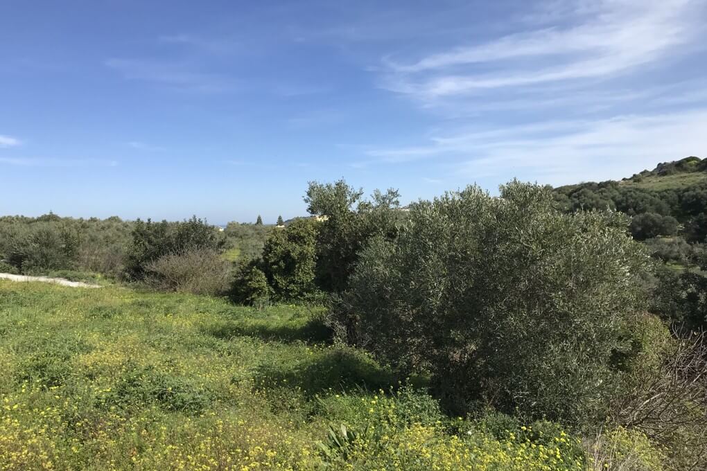 Plot for Sale in Chania. ID 03-1585