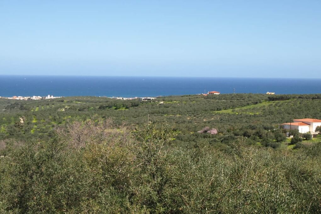 Land for sale in Crete. ID 03-1536
