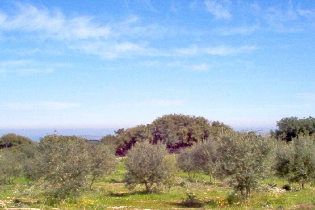 Development land property for sale - Crete. ID 13-282
