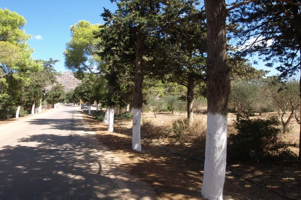 Crete Plot for sale. ID 03-1525