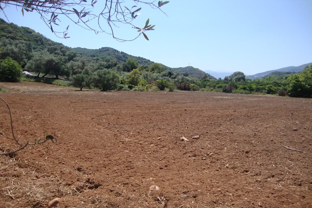 Agricultural land for sale in Crete. ID 03-1470