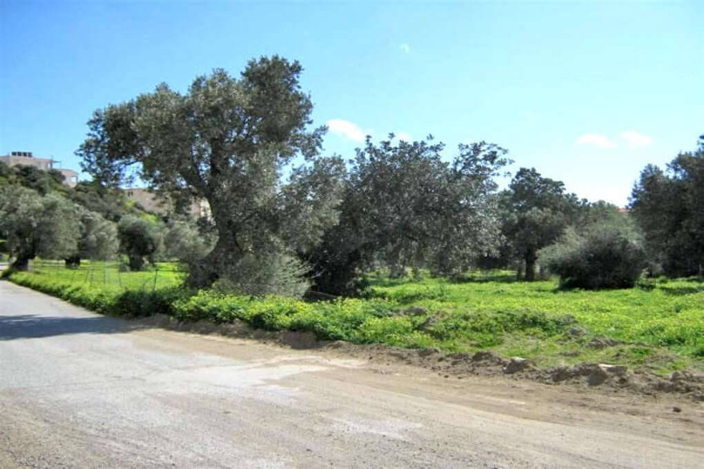 South-Crete Building Land for sale. ID 13-295