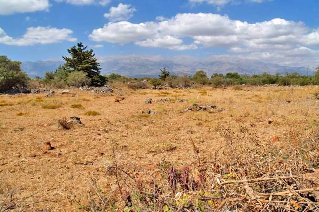 Business land property for sale in Crete. ID 03-1158