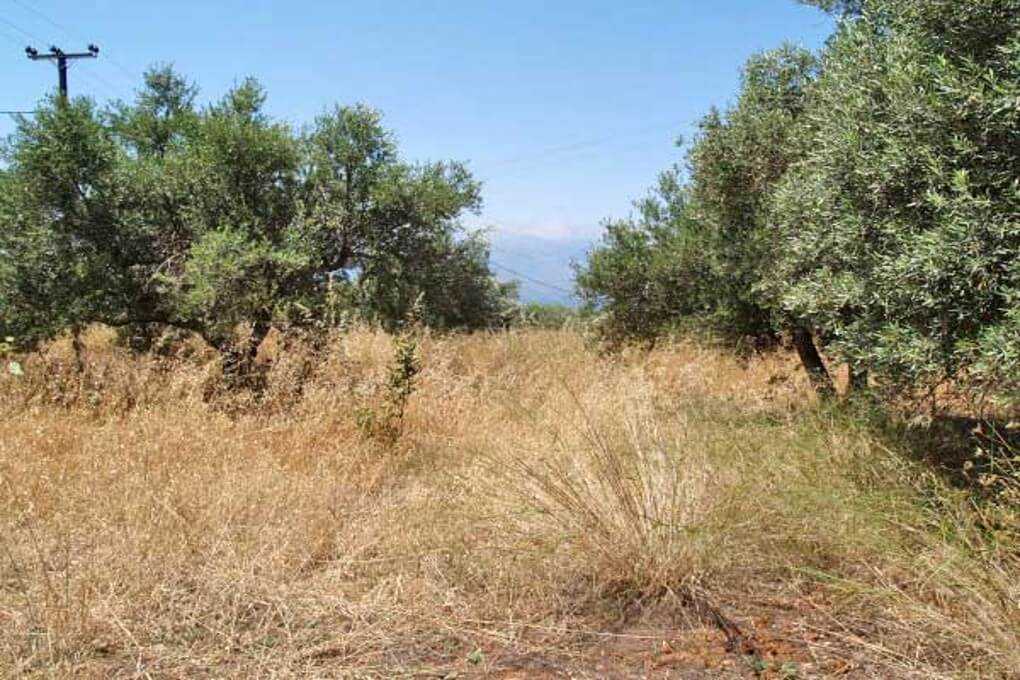 Crete land for sale Apokoronas. ID 03-1039