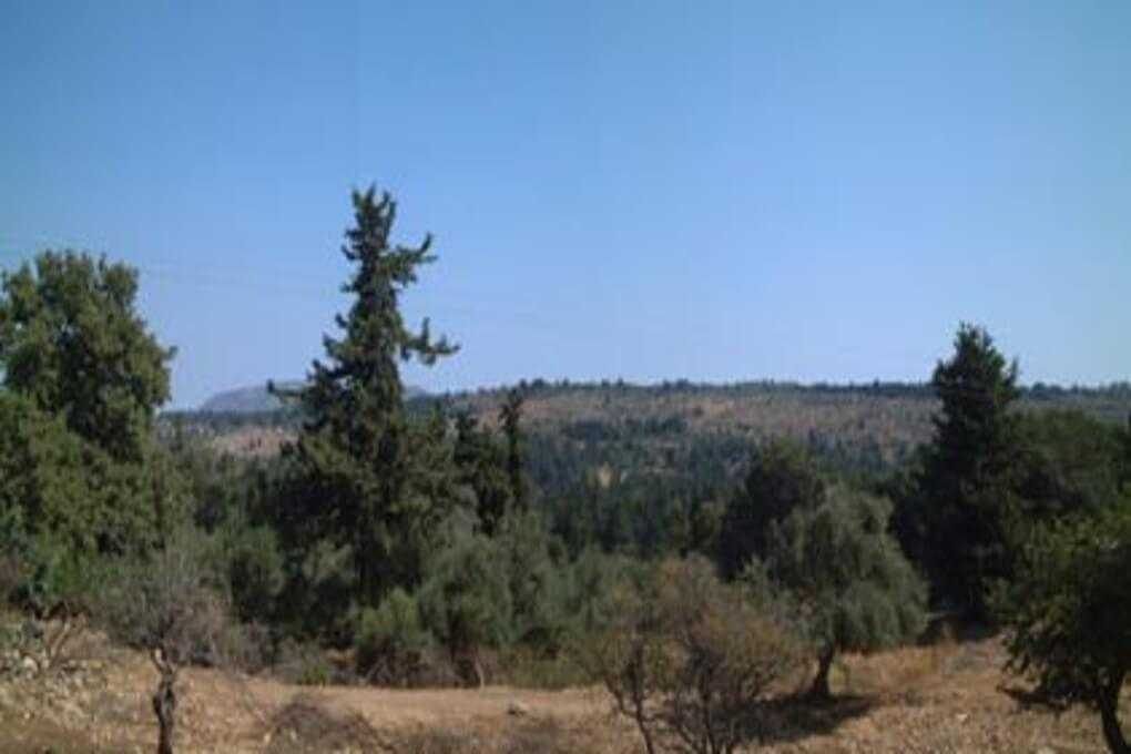 Building plot for sale Vamos Crete. ID 03-525