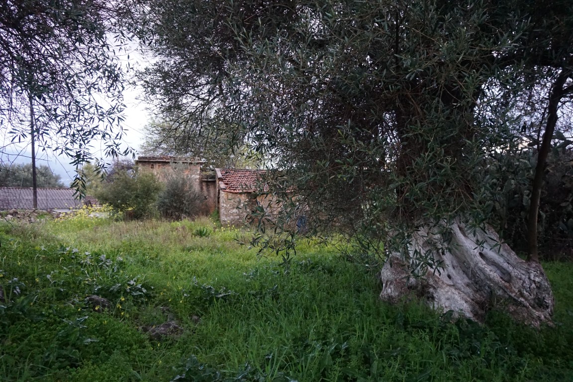 Plot for Sale within the Settlement, in Kontopoula Keramion