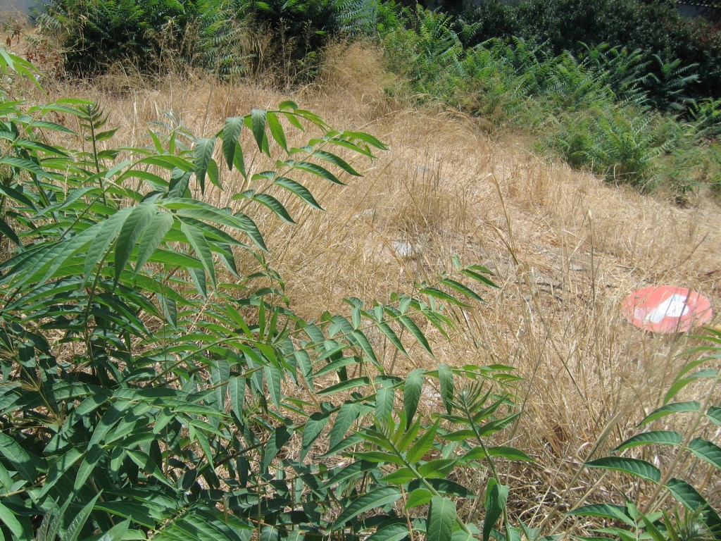 Plot within the City Plan in the Center of Chania