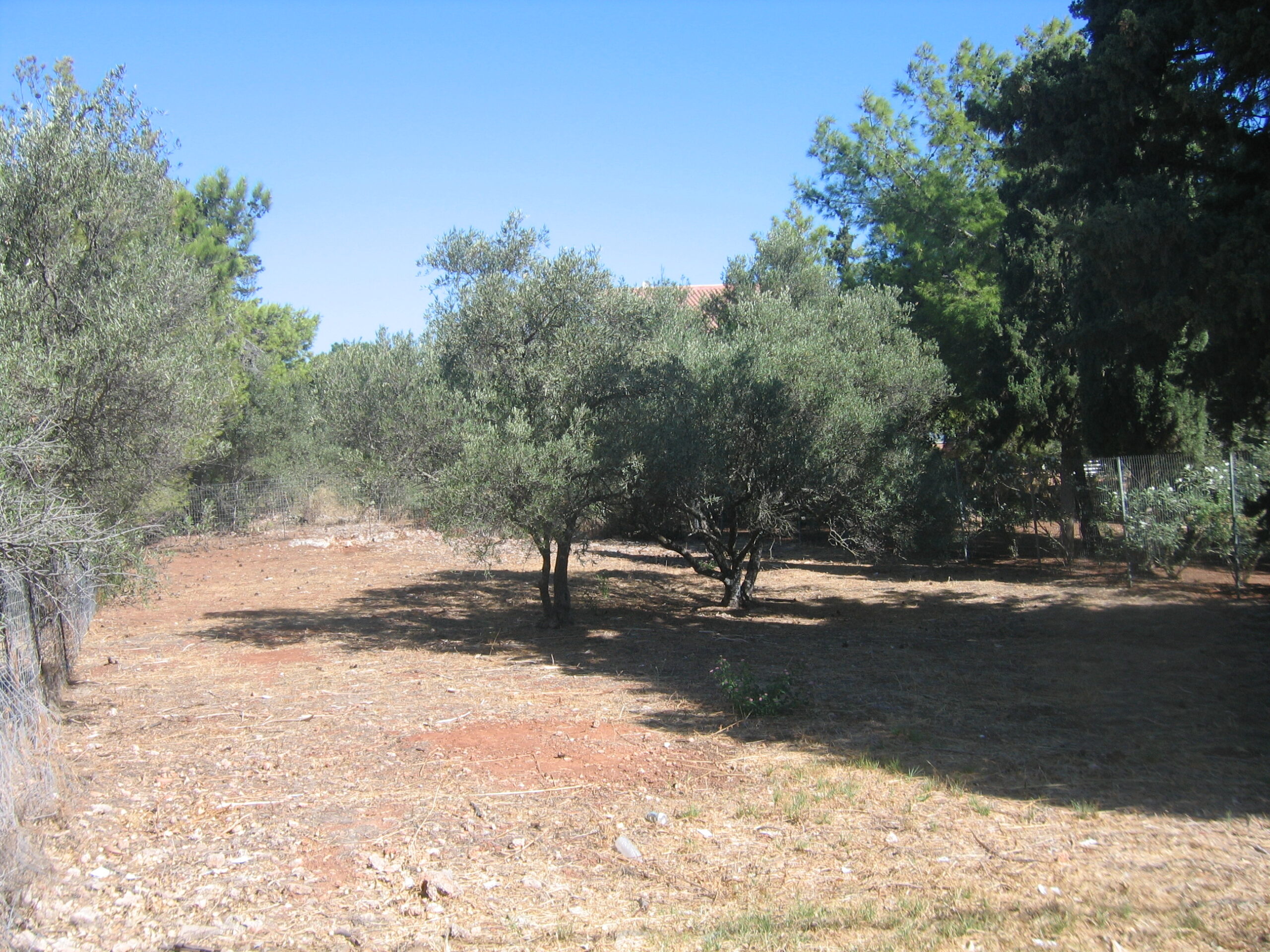 Plot with Building Permit in Korakies, Akrotiri