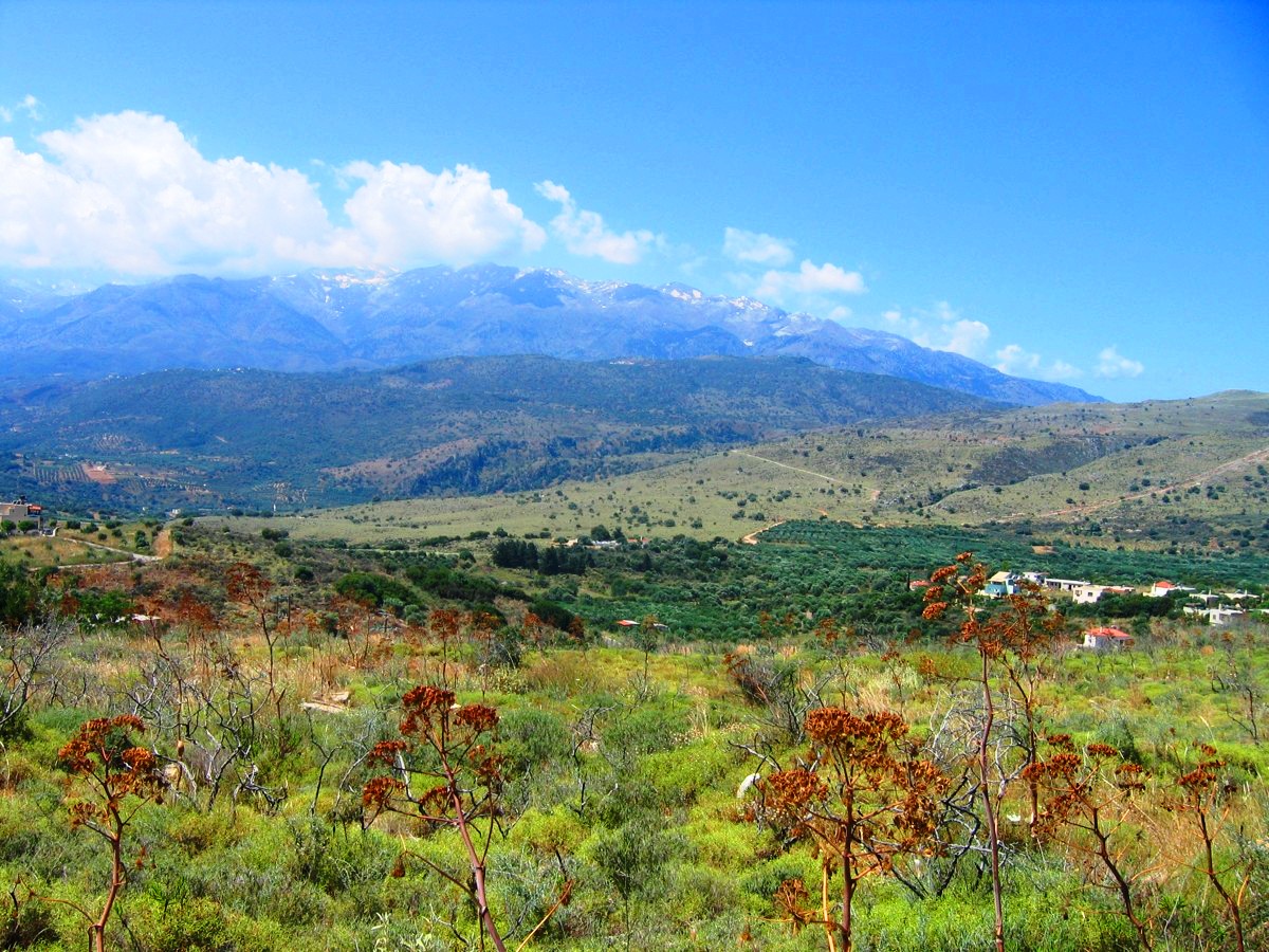 Large plot of land in Apokoronas