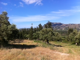 Plot with Building Permit for a Villa with Pool in Douliana, Apokoronas