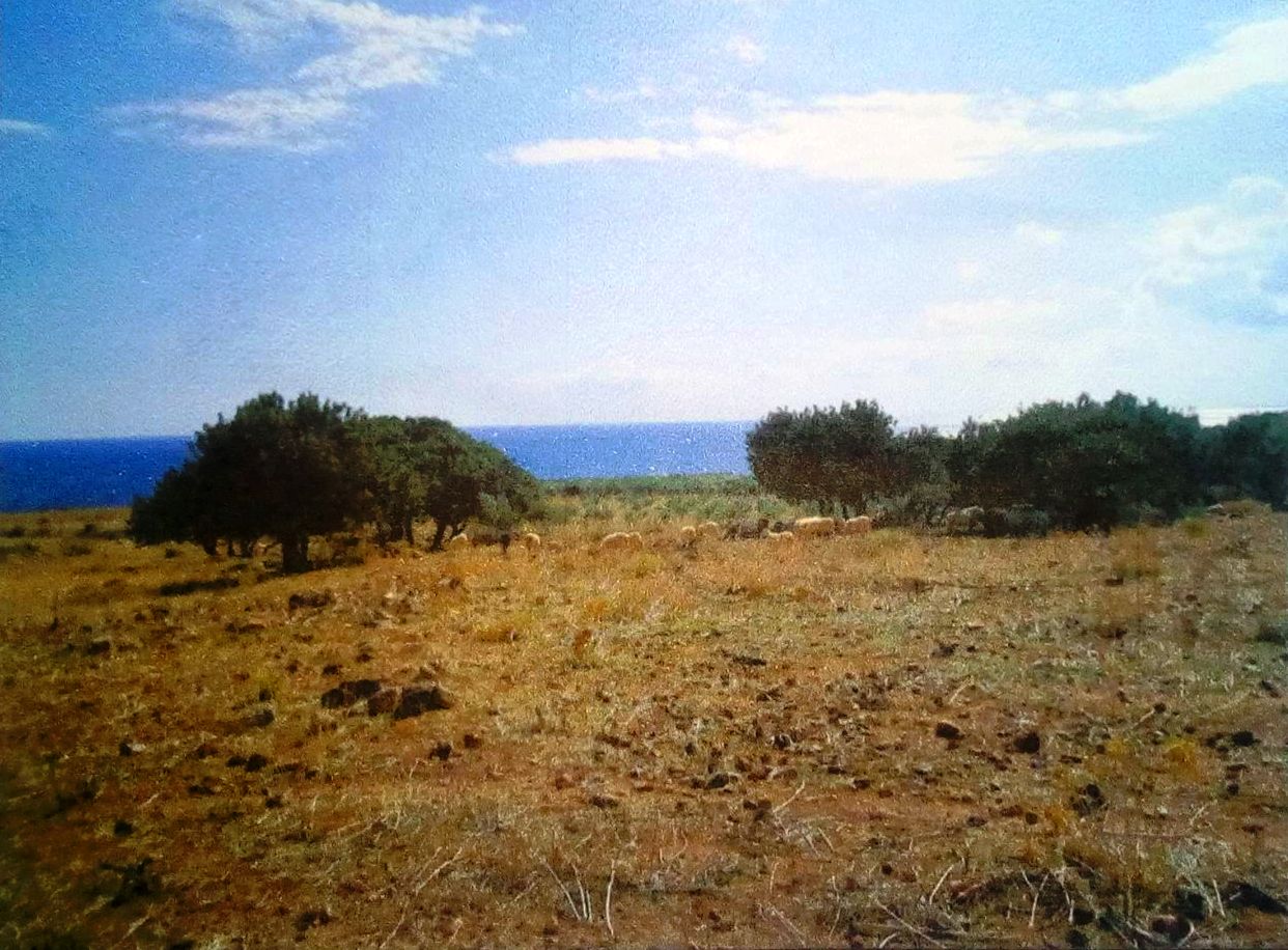 Beautiful plot in southern Crete for sale in Fragokastello