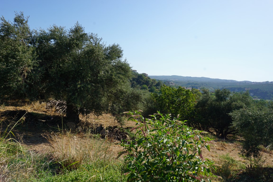 Plot within the settlement in Sirili, Municipality of Platanias