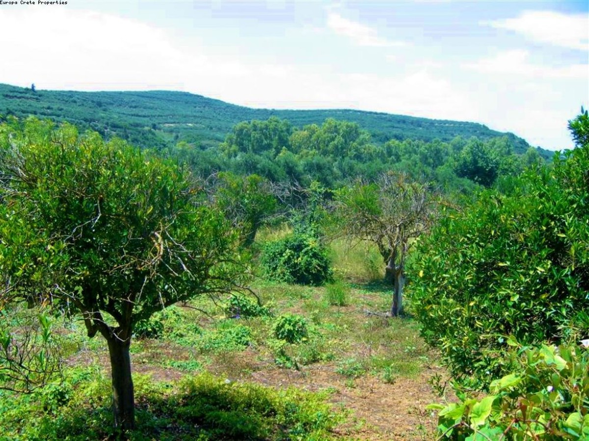 Plot for sale outside urban plan of the village Syrili