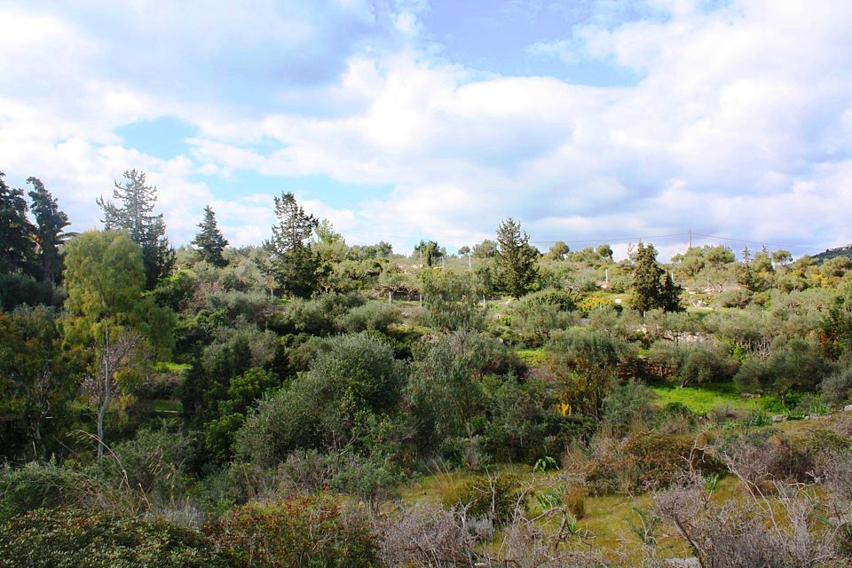 Plot in Marathi Akrotiri 200m from the sea.