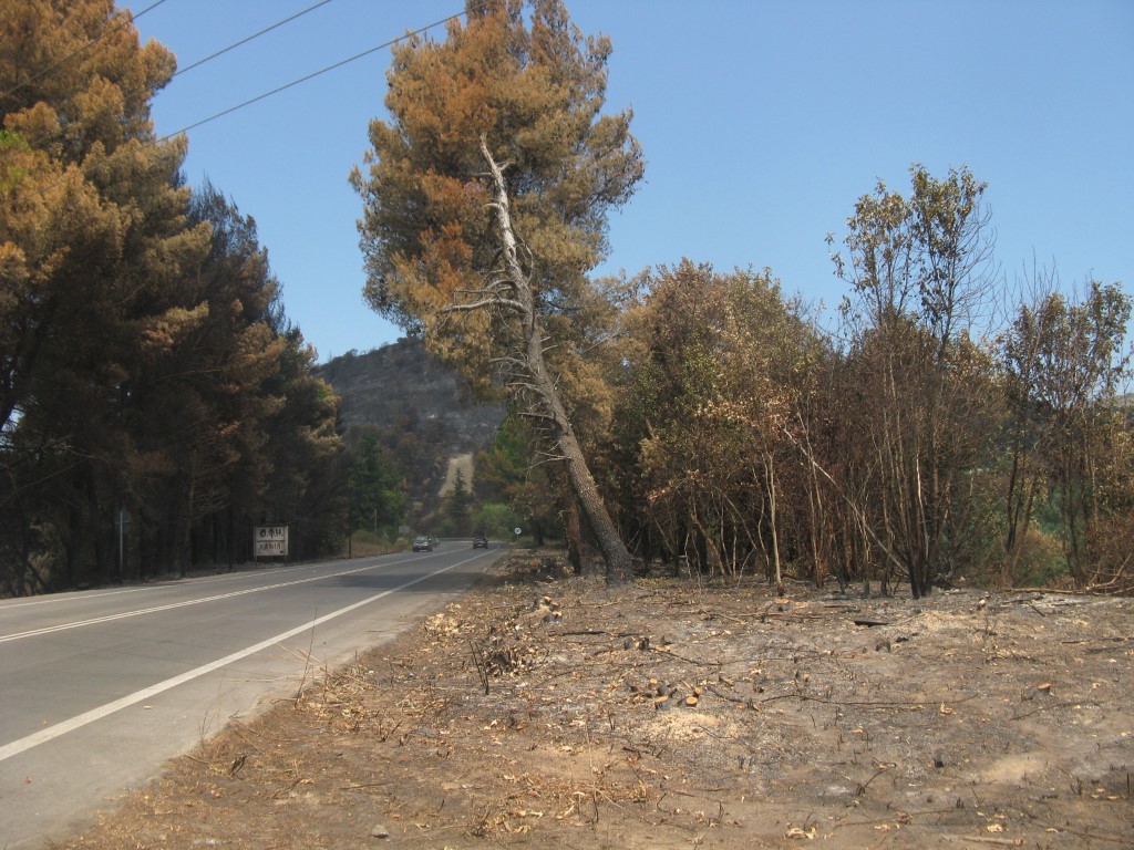 A plot of land for sale on the National Road near Vryses Apokoronou.