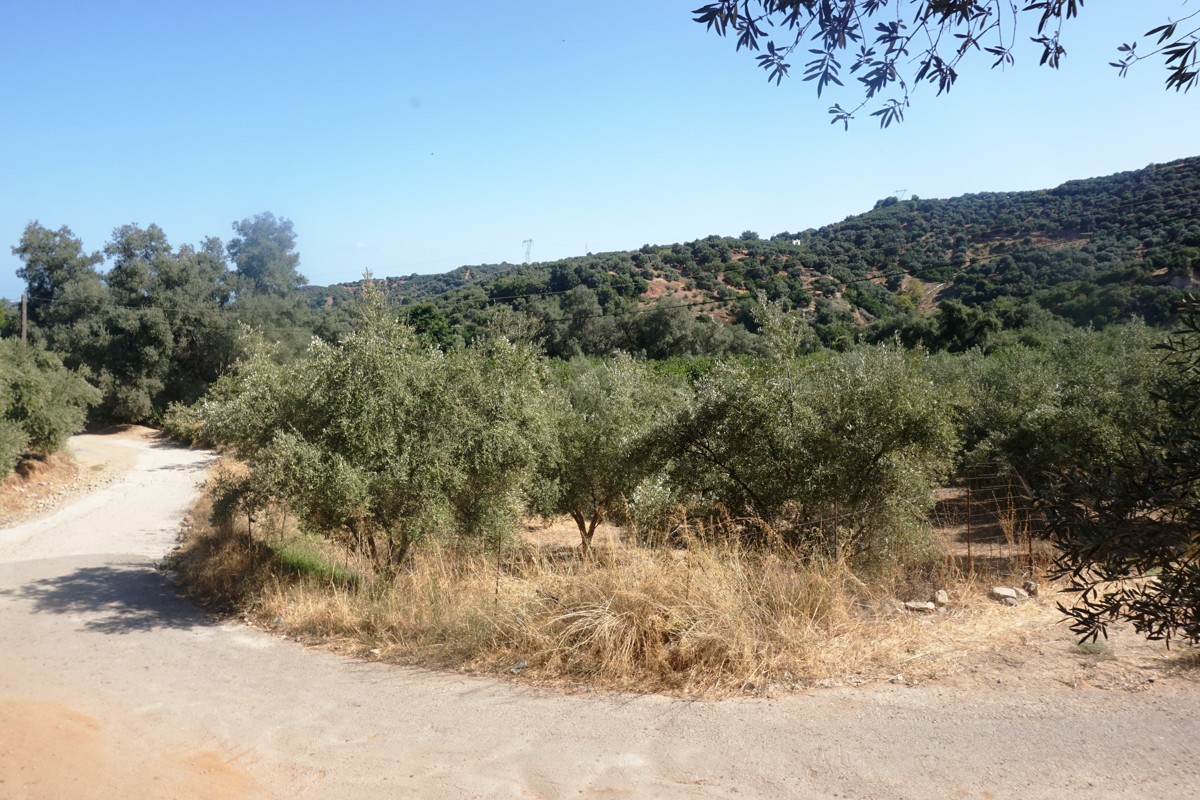 Plot at a good price near Voukolies