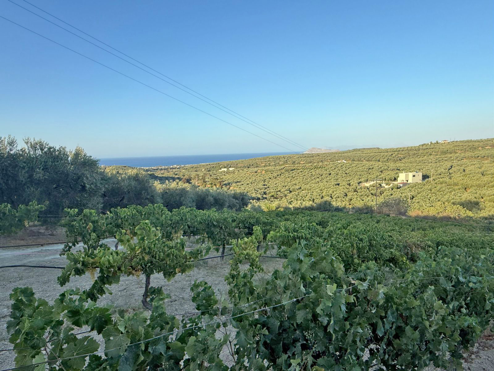Seaview Plot in Platanias for sale. ID 03-3277