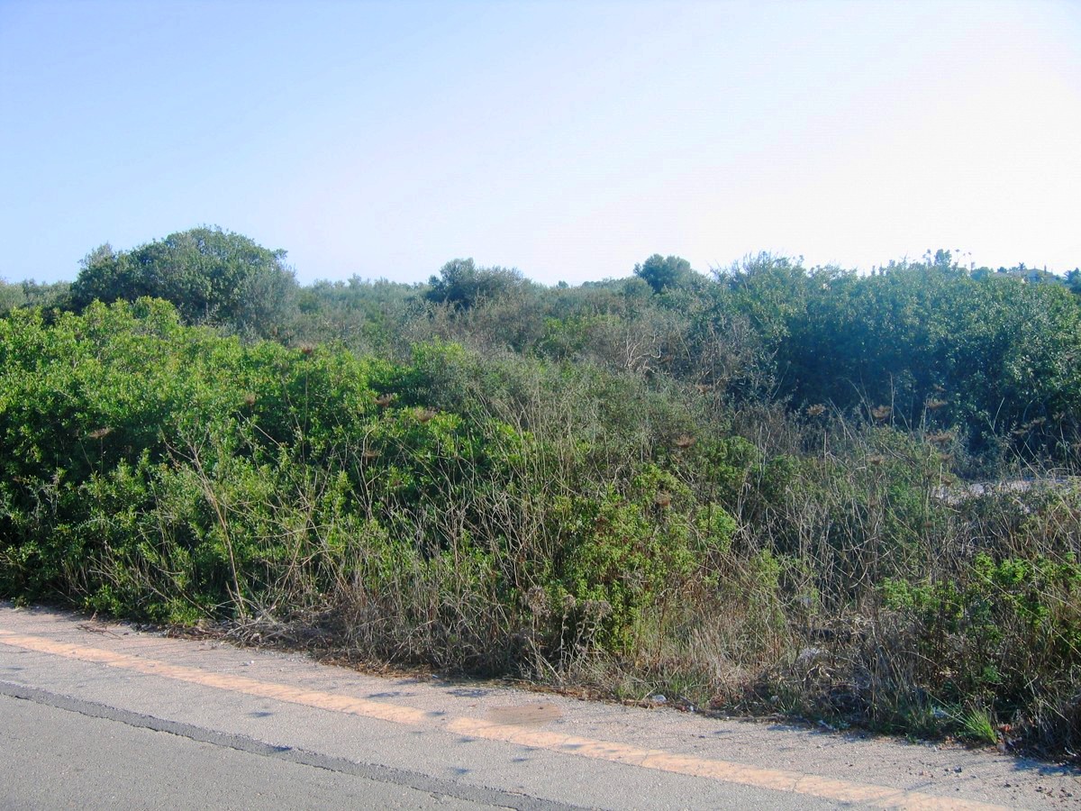 Commercial Plot in Kathiana/Agia Triada Akrotiri