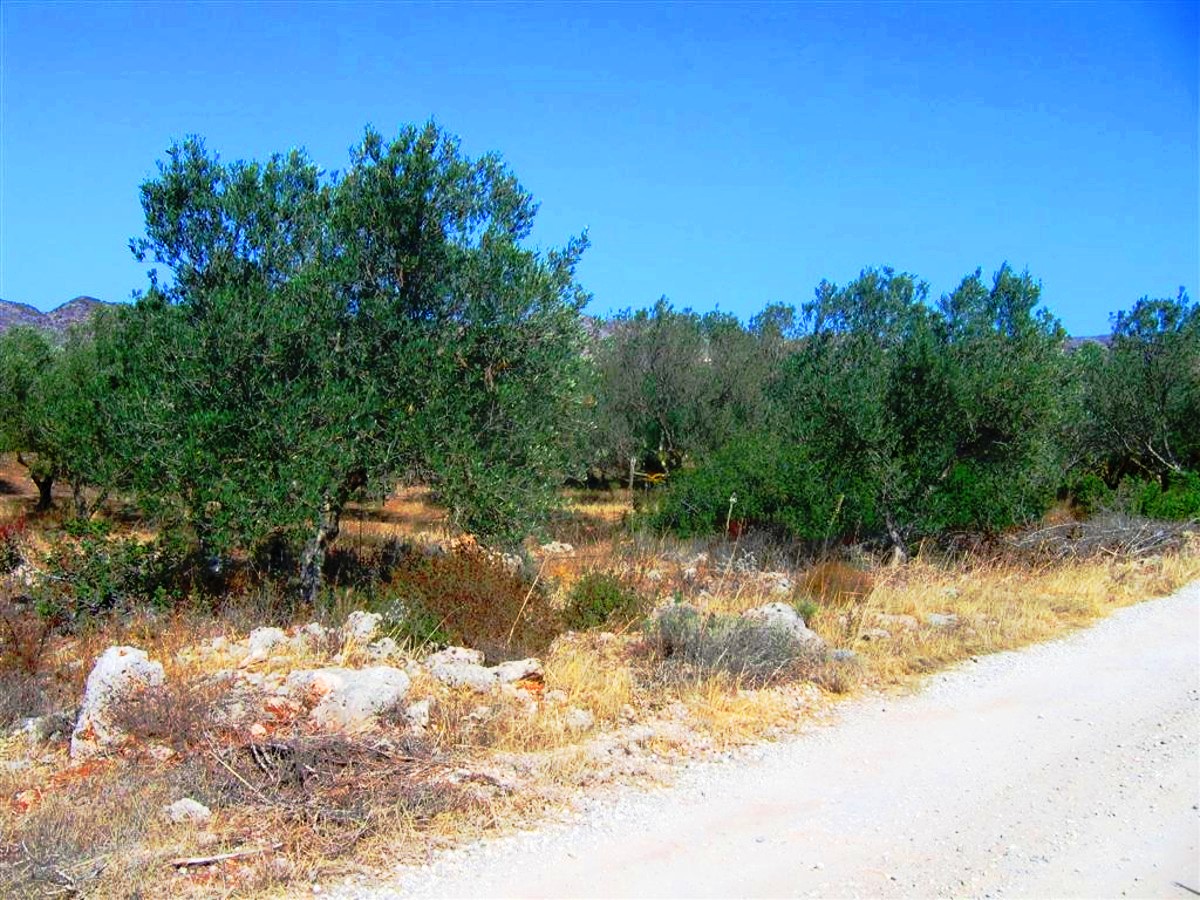 Plot close to the airport