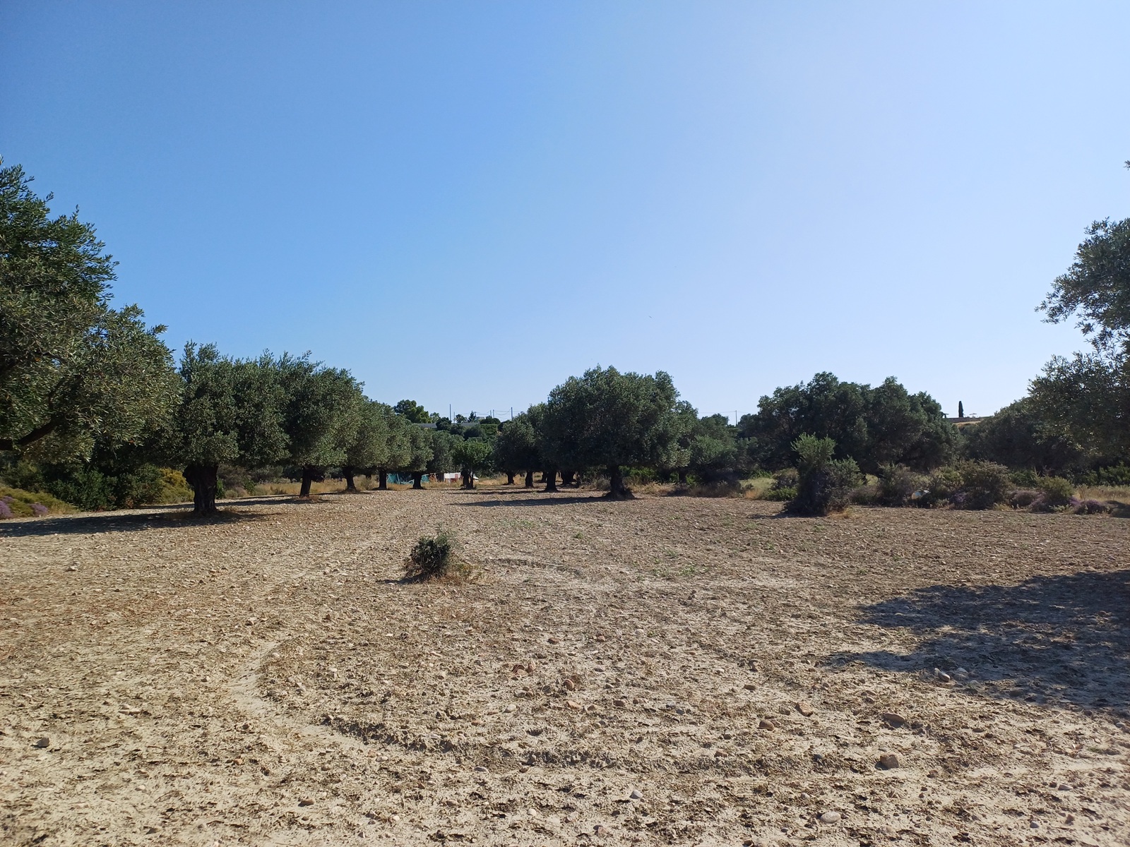 Plot for sale in Rhodes. ID R3-3263