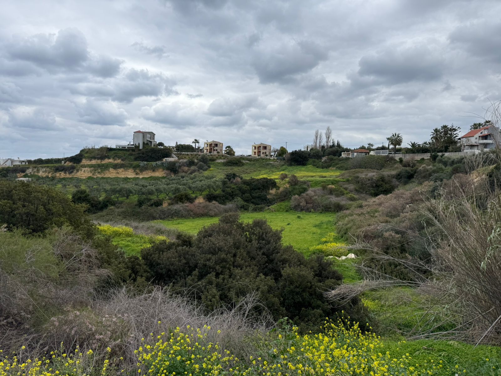 Investment Land for sale in Agia Marina. ID 03-3231