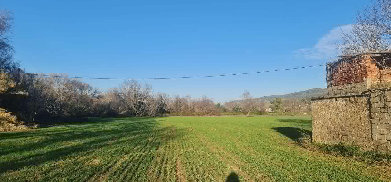 Investment Land for sale in Evia. ID Eu3-3202