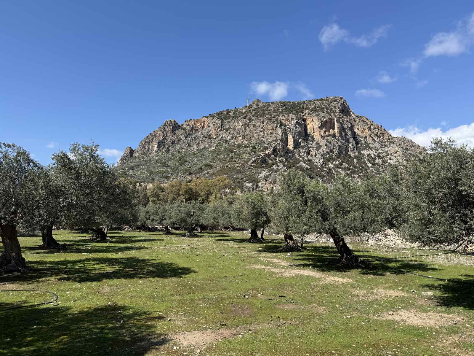 Land with Building Permit in Paleochora for sale. ID 03-3199