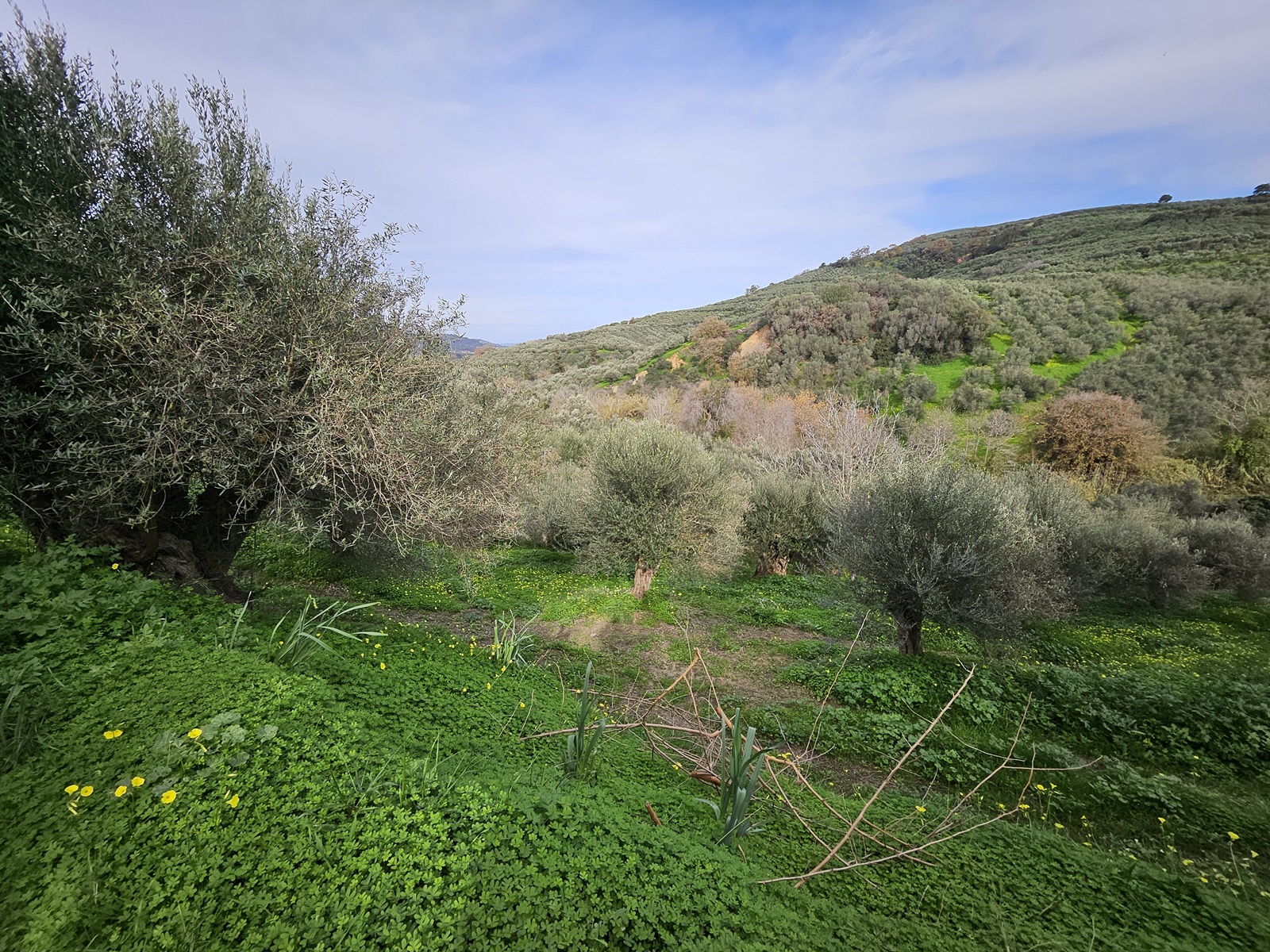 Land in Voukolies Chania for sale. ID 03-3180