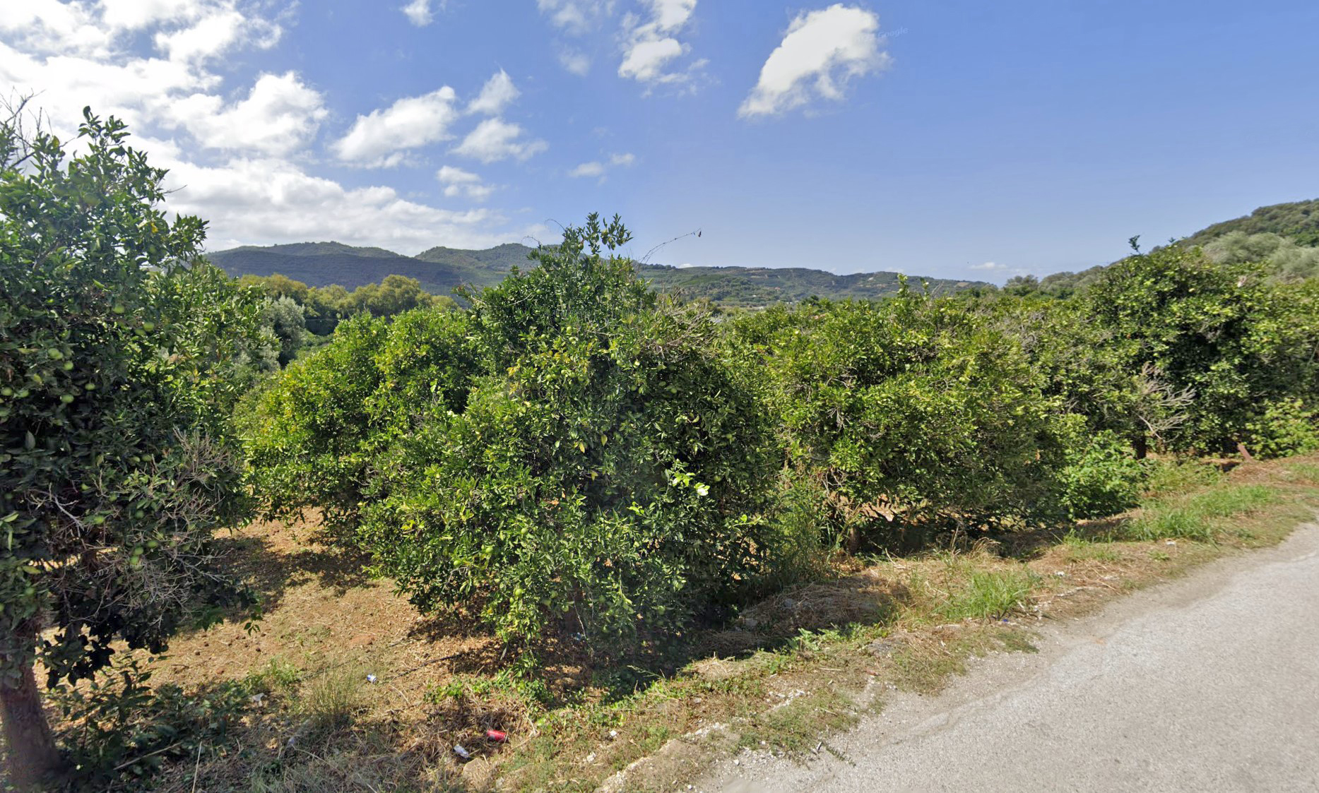 Plot for sale in Chania. ID 03-3179