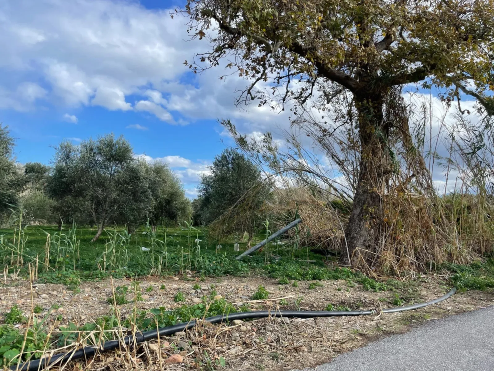 Land for sale in Gerani. ID 03-3162