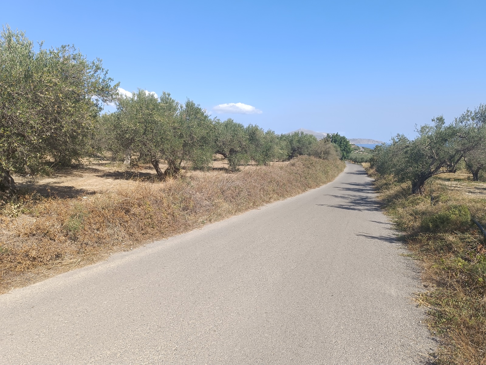Seaview Land for sale in Tsivaras. ID 03-3108