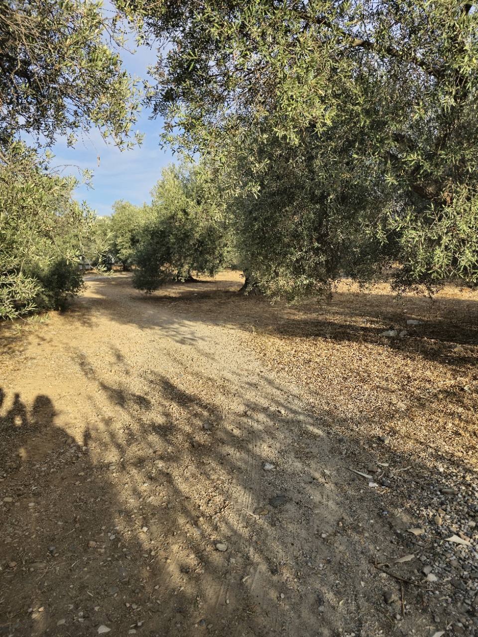 Land for Joint Venture Development in Koumpes. ID 03-3101