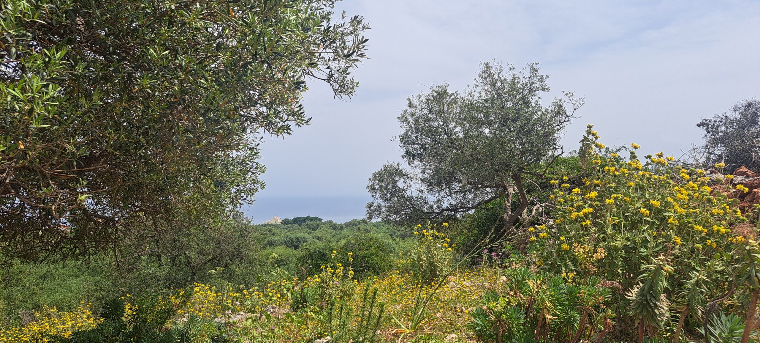 Seaview Land for sale in Likotinara. ID 03-2951