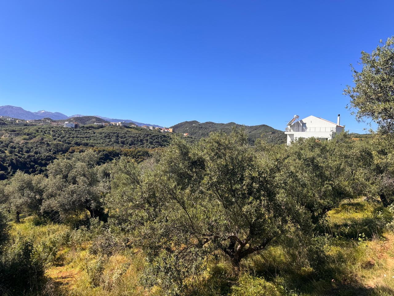 Land for sale in Stalos. ID 03-2942