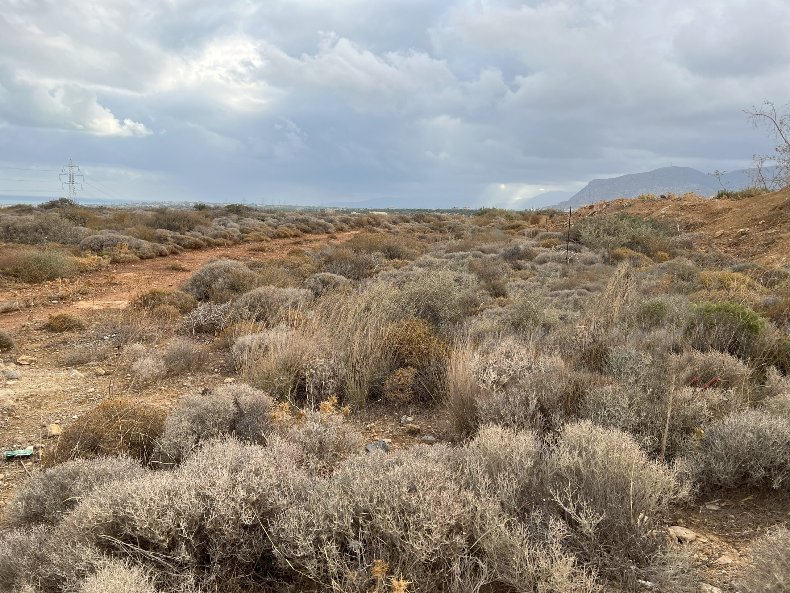 Seaview Land for sale in Gouves Heraklion. ID 23-2905