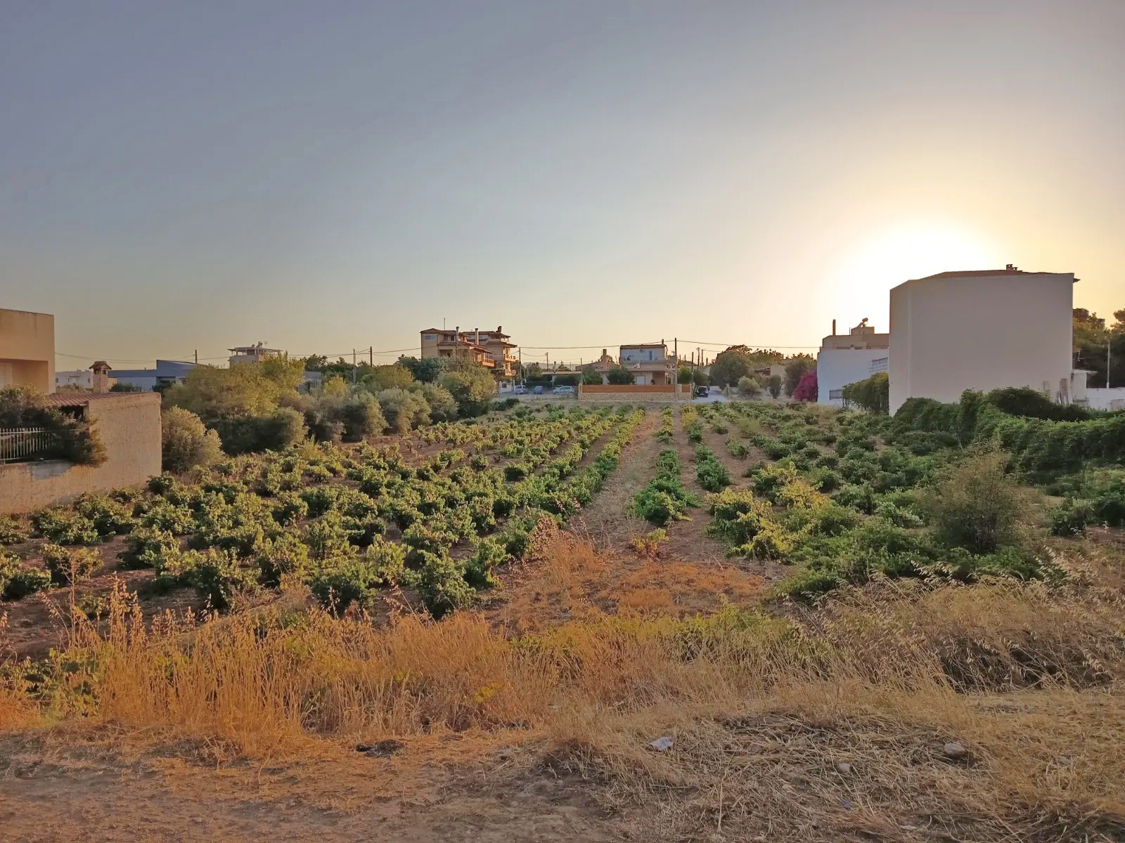 Plot for Sale in Artemida. ID A3-3361