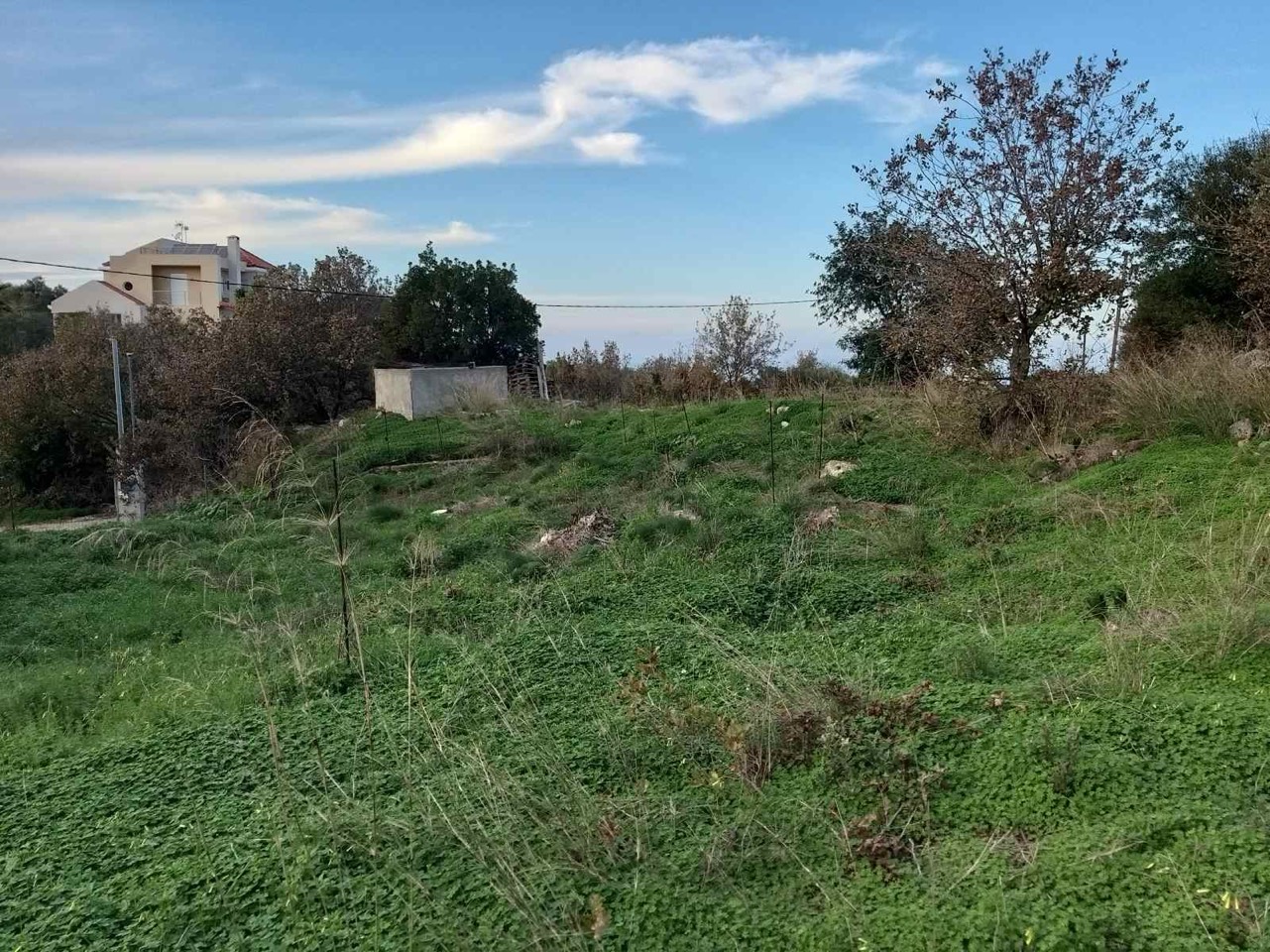 Land for sale in Rethymno. ID 13-2875