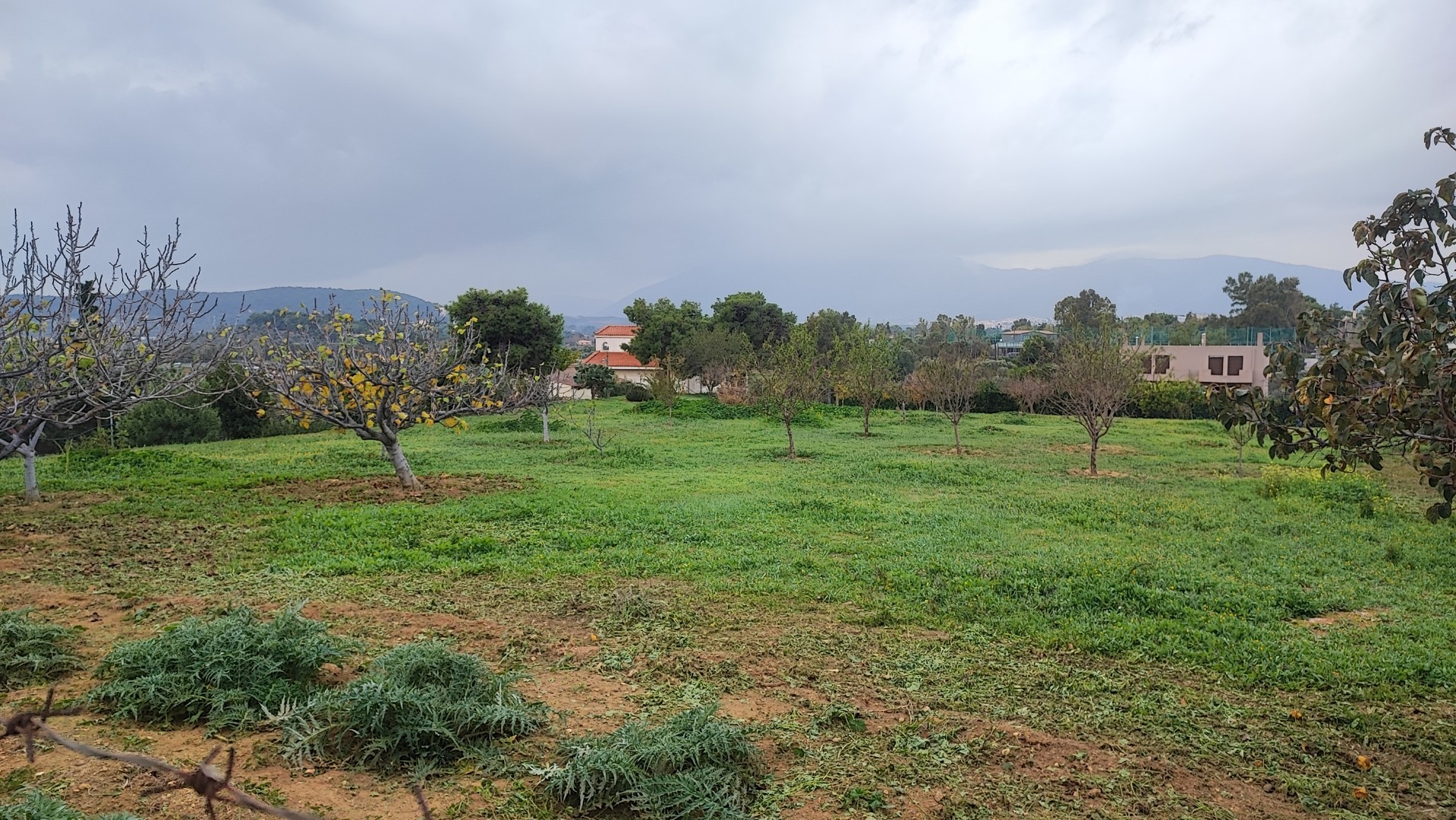 Land for sale in Pallini Athens. ID A3-2869