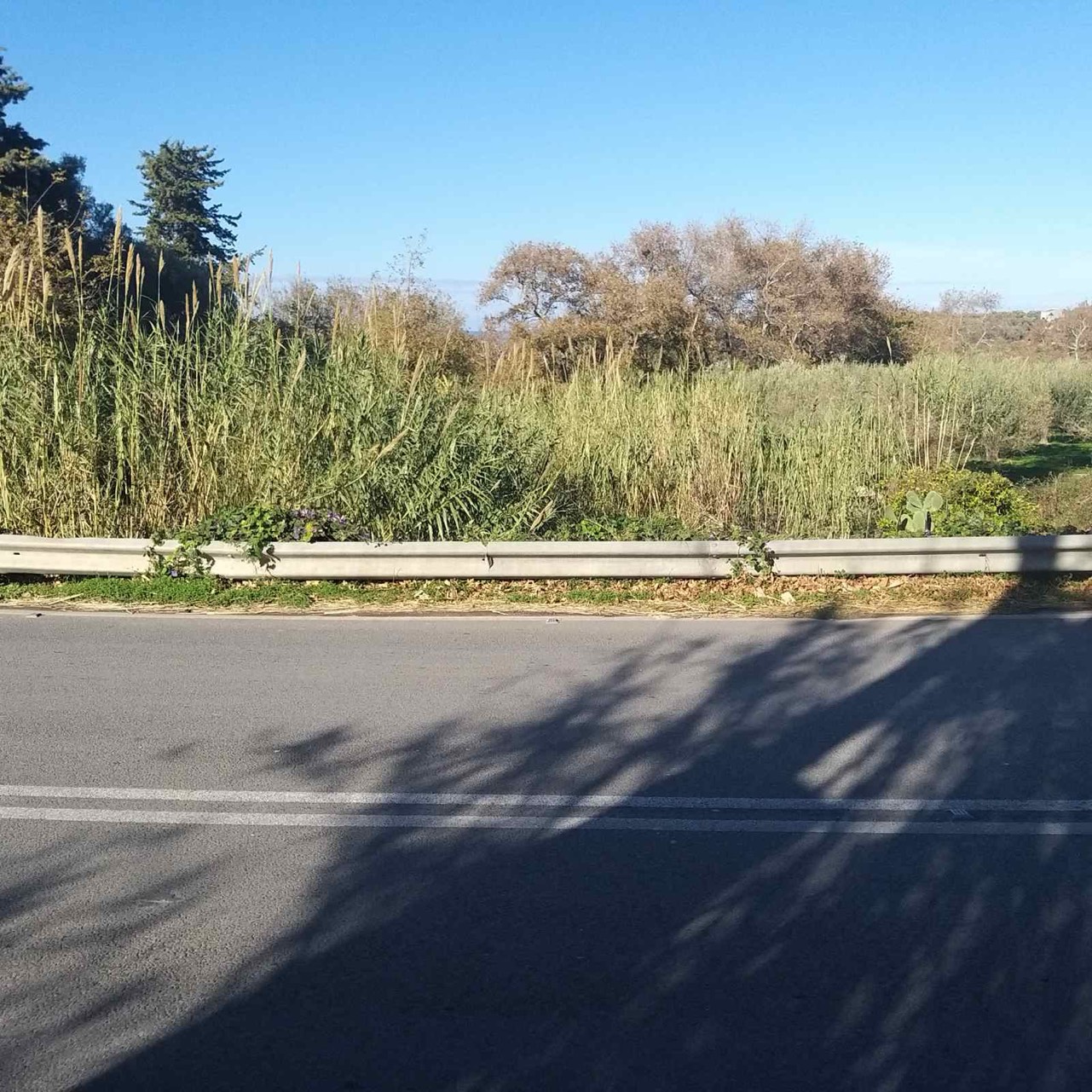 Rethymno Land for sale in Adele. ID 13-2848