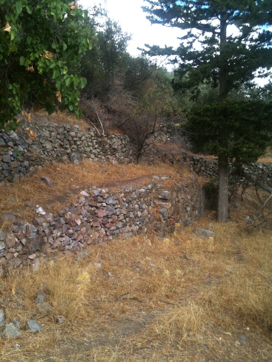 Land for sale near Elafonisi. ID 03-2824