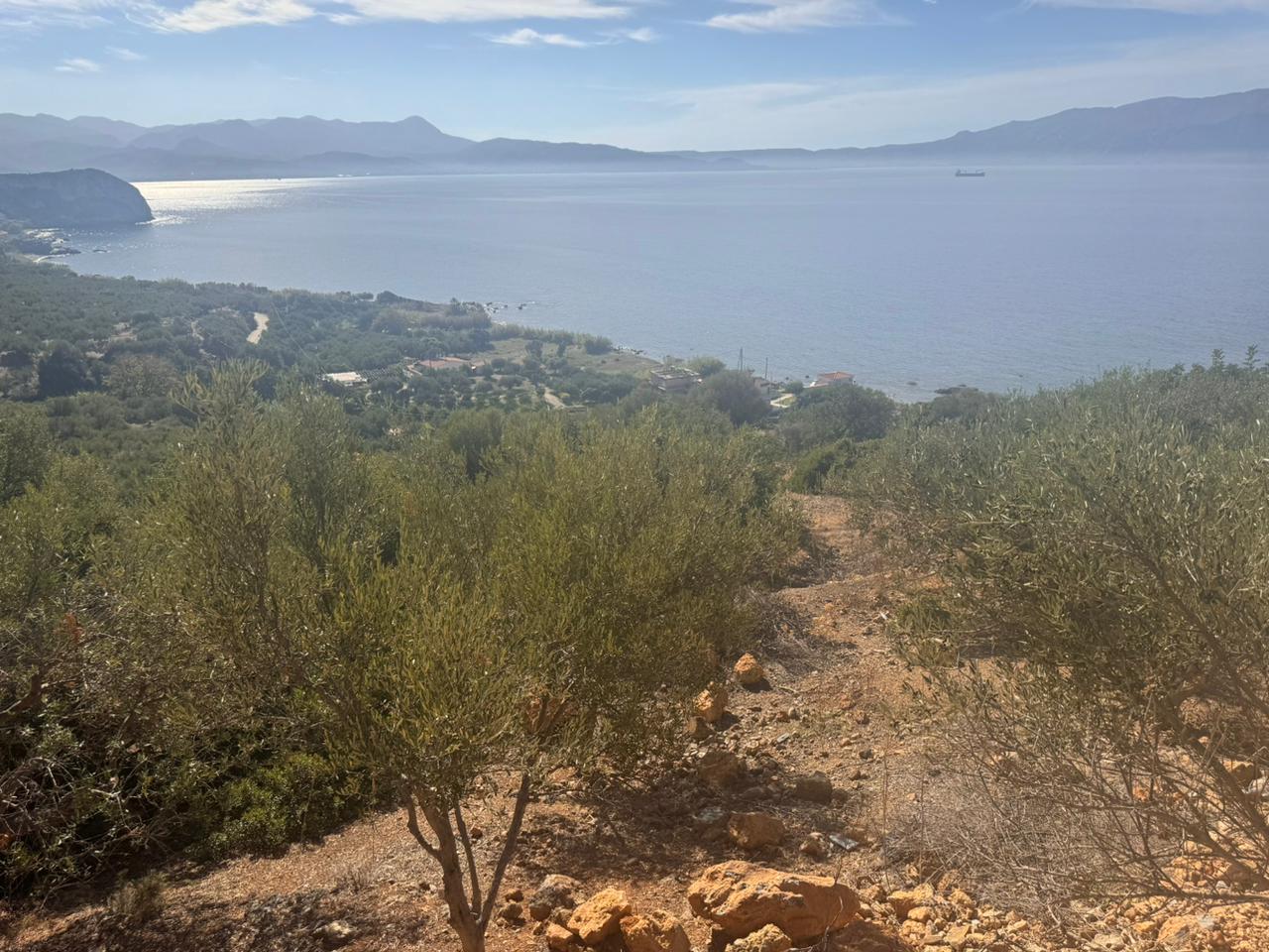 Seaview Land for sale with a Building License in Ravdoucha. ID 03-2818