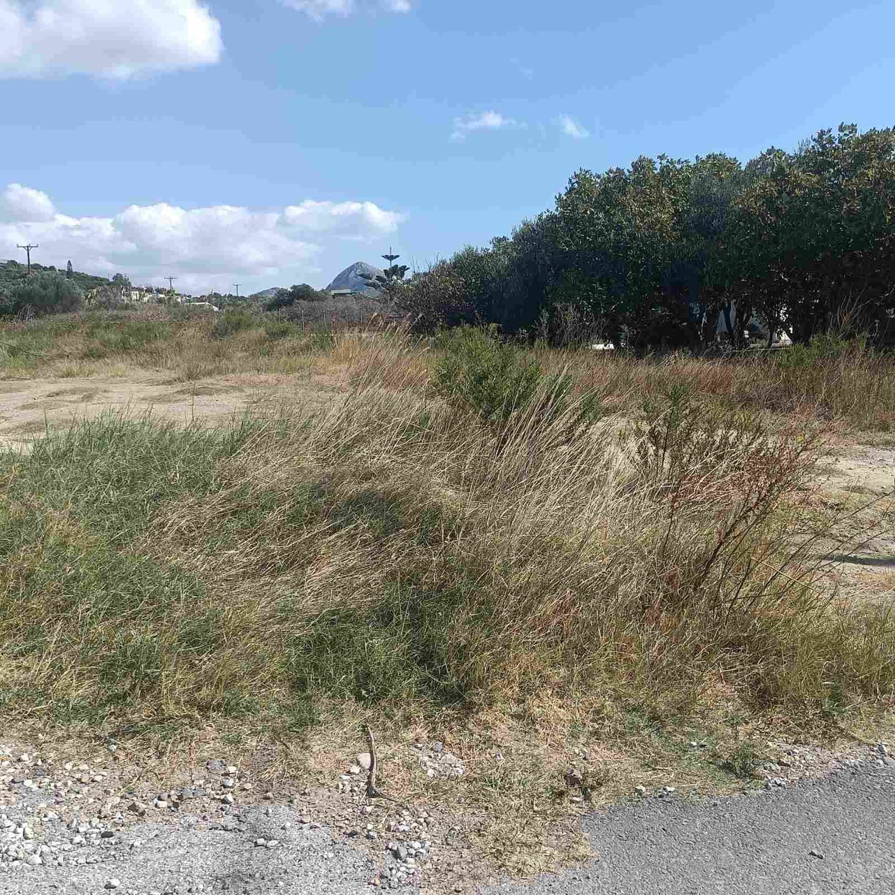 Land for sale in Plakias. ID 13-2798