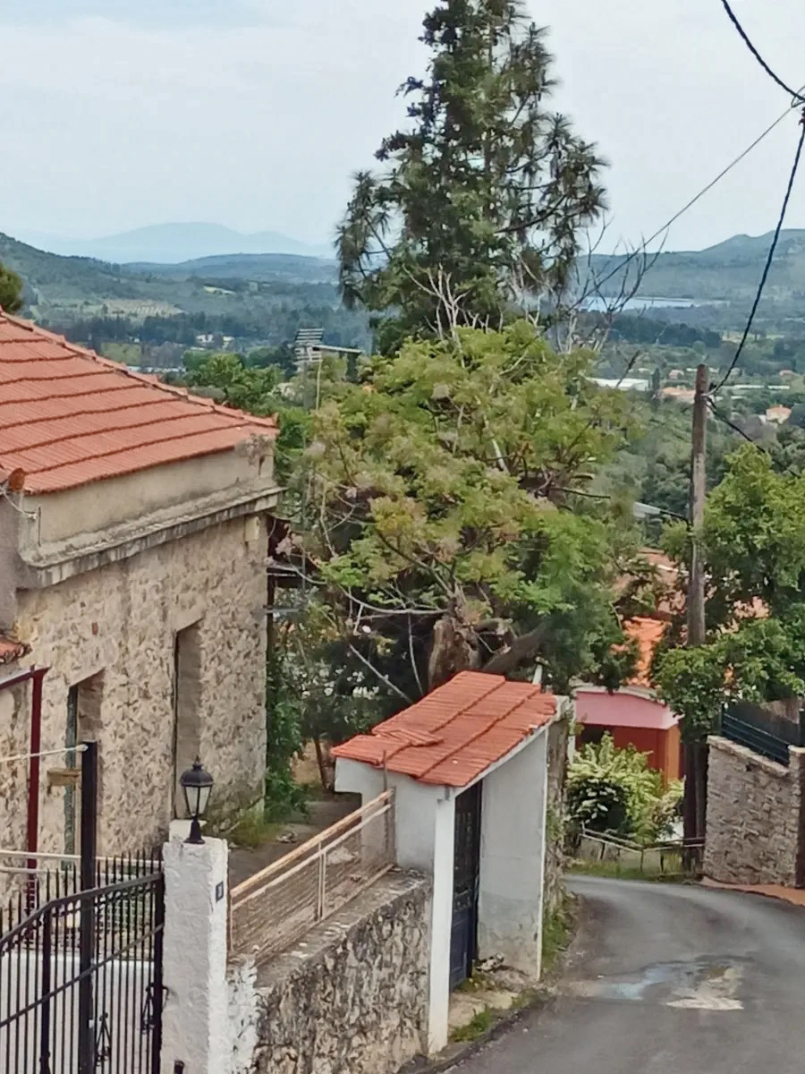 House for sale in Attica Afidnes. ID A4-5995