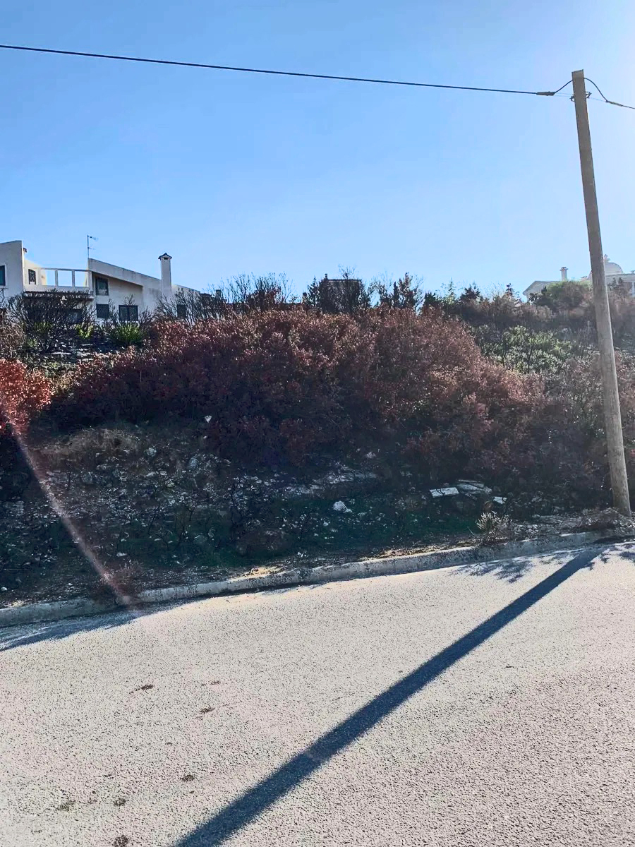 Land for sale in Pikermi. ID A3-2688